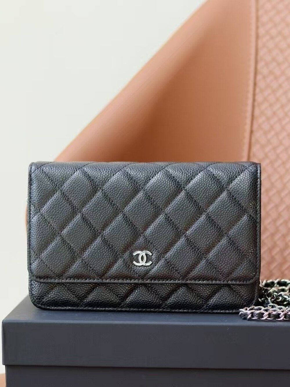 Chanel Wallet on Chain in Quilted